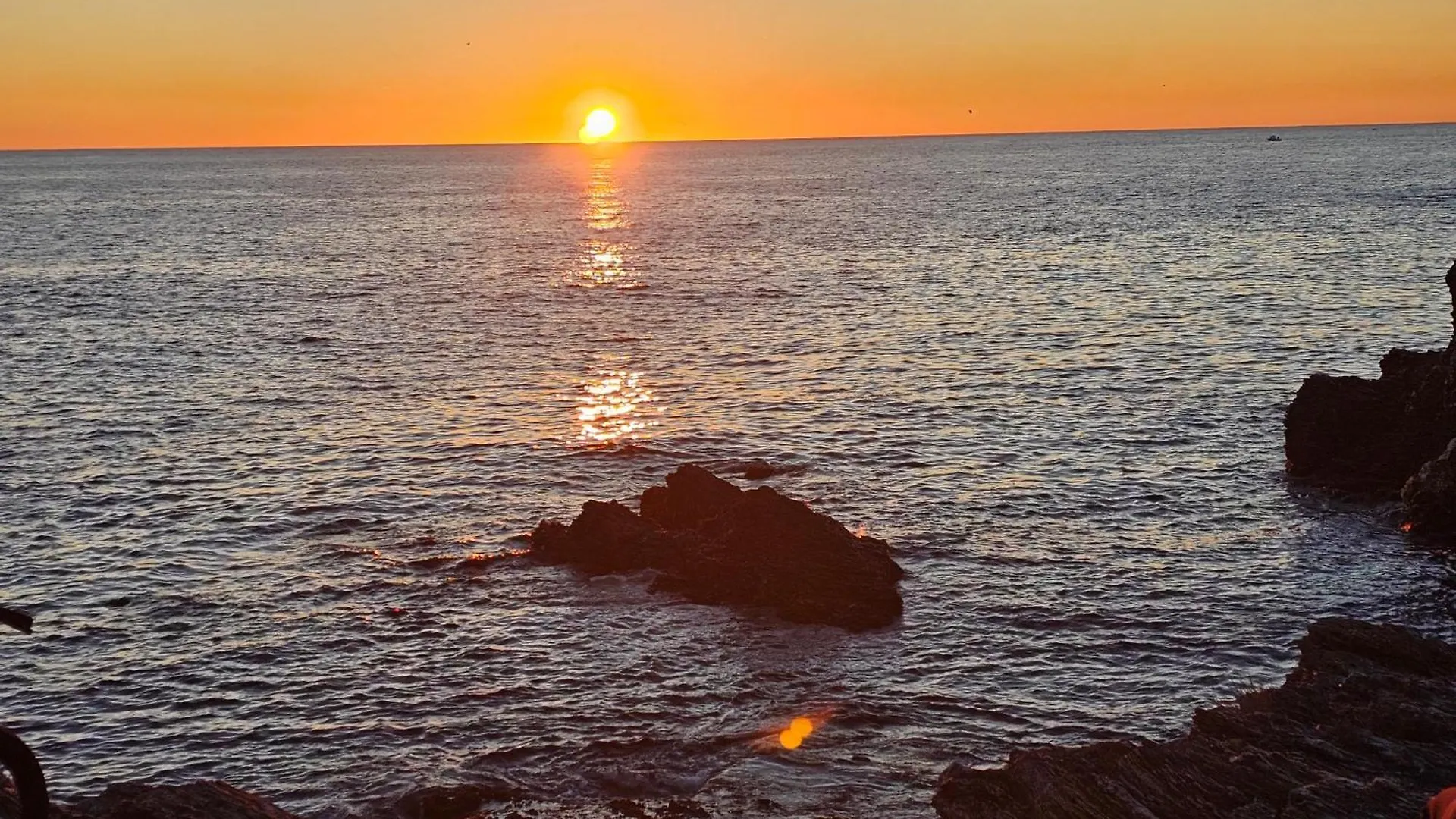 Apartament La Brise Du Brusc Six-Fours-les-Plages